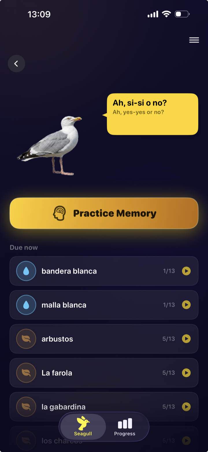 Seagull Steven memory queue — words due now